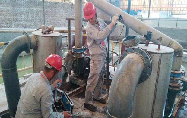 1766538557329193_1658546774105684.jpg 1658546774105684.jpg