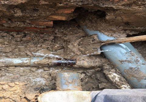 1658805494221333.jpg 3c8c3497-eac1-4372-b9f8-de98c0896b70.jpg