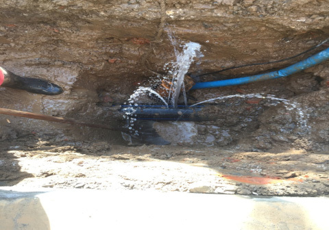 1658805620802032.jpg 133372a3-8917-4640-999a-e43e04836624.jpg