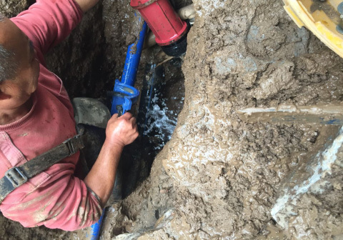 1658805537238973.jpg 98e77e54-20df-4b4f-9c28-54b5e14a1204.jpg