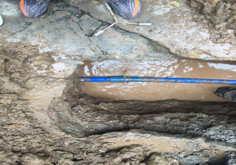 1658805567796172.jpg b6ae2814-9553-4607-a76b-0bd66d2a466e.jpg