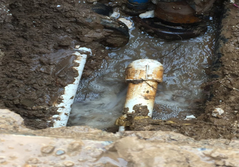 1658805639550162.jpg 06e1ba89-eda6-4d10-b0a7-07bfc49f6ad4.jpg